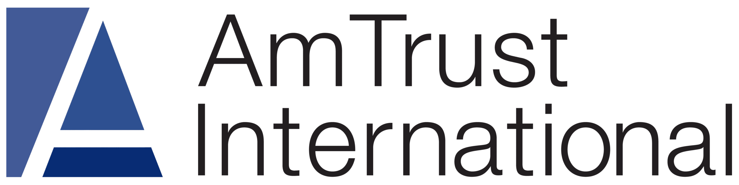 AmTrust International